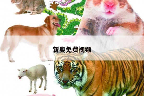 新闻中心 第4页
