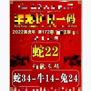 澳门一码三中三免费公开,真实经典策略设计_VR型43.237