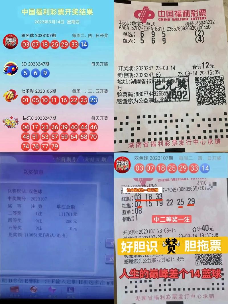 新澳门开奖结果2023开奖记录图片,设计策略快速解答_整版DKJ656.74