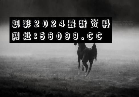 2023澳门正版精准资料公开,设计策略快速解答_整版DKJ656.74