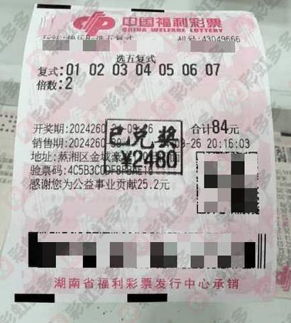 香港正版资料大全开奖现场一,设计策略快速解答_整版DKJ656.74