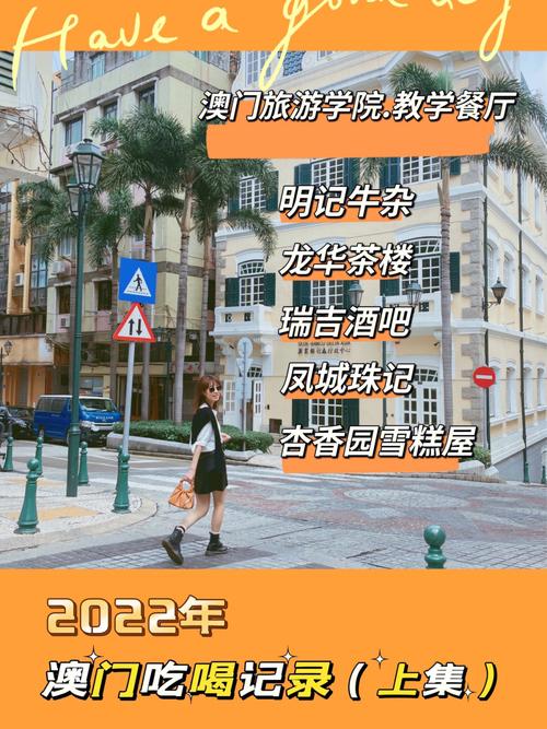 澳门精准免费资料大全2022年,设计策略快速解答_整版DKJ656.74