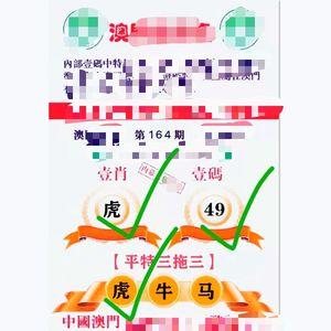 澳门资料全年大全