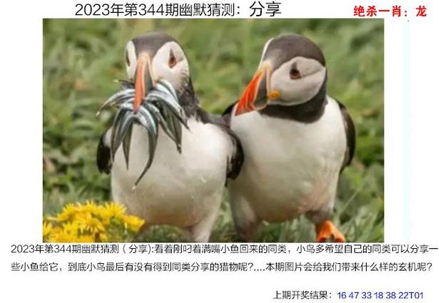 澳门2023精准一肖一码资料