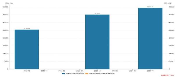 2024全年经典资料大全,设计策略快速解答_整版DKJ656.74