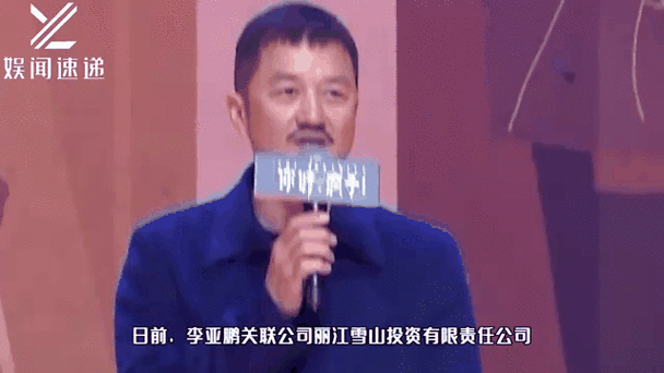 李亚鹏持股公司强执,李亚鹏投资的公司